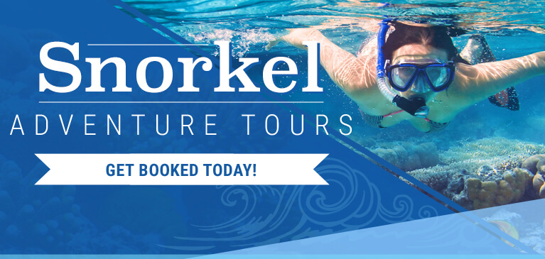 Bermuda Snorkeling Tours