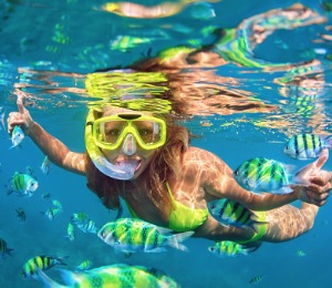 Bermuda Snorkeling